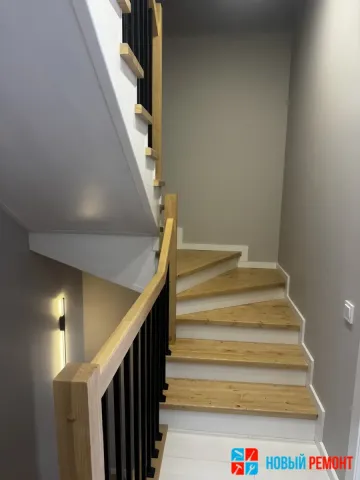 54546664